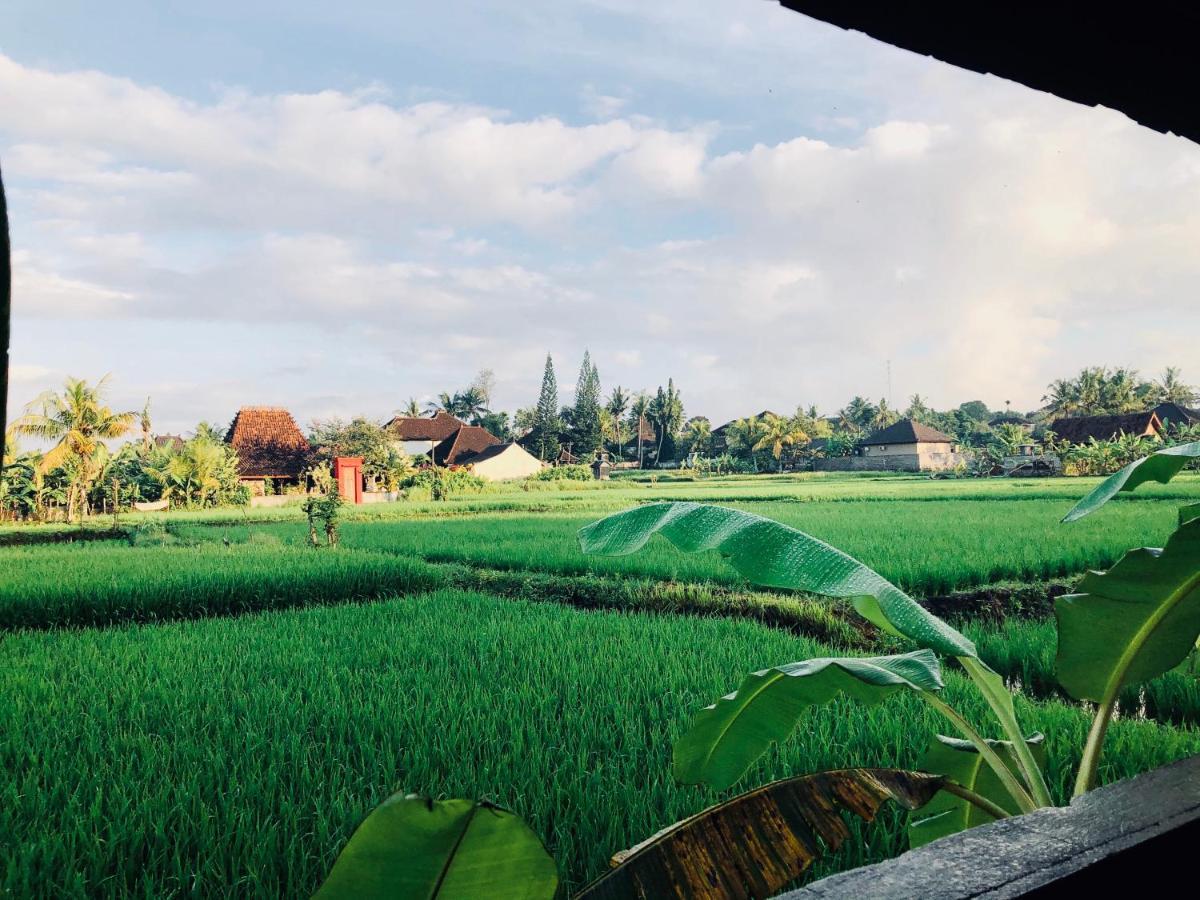Umagama Villas Ubud Exterior foto